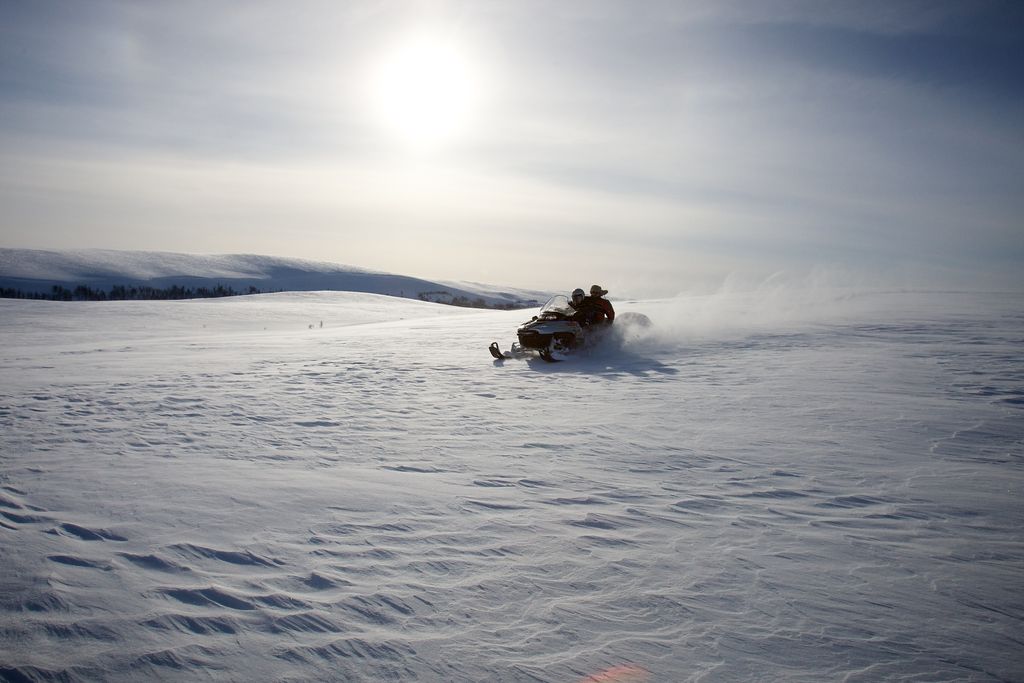 Pure cold freedom