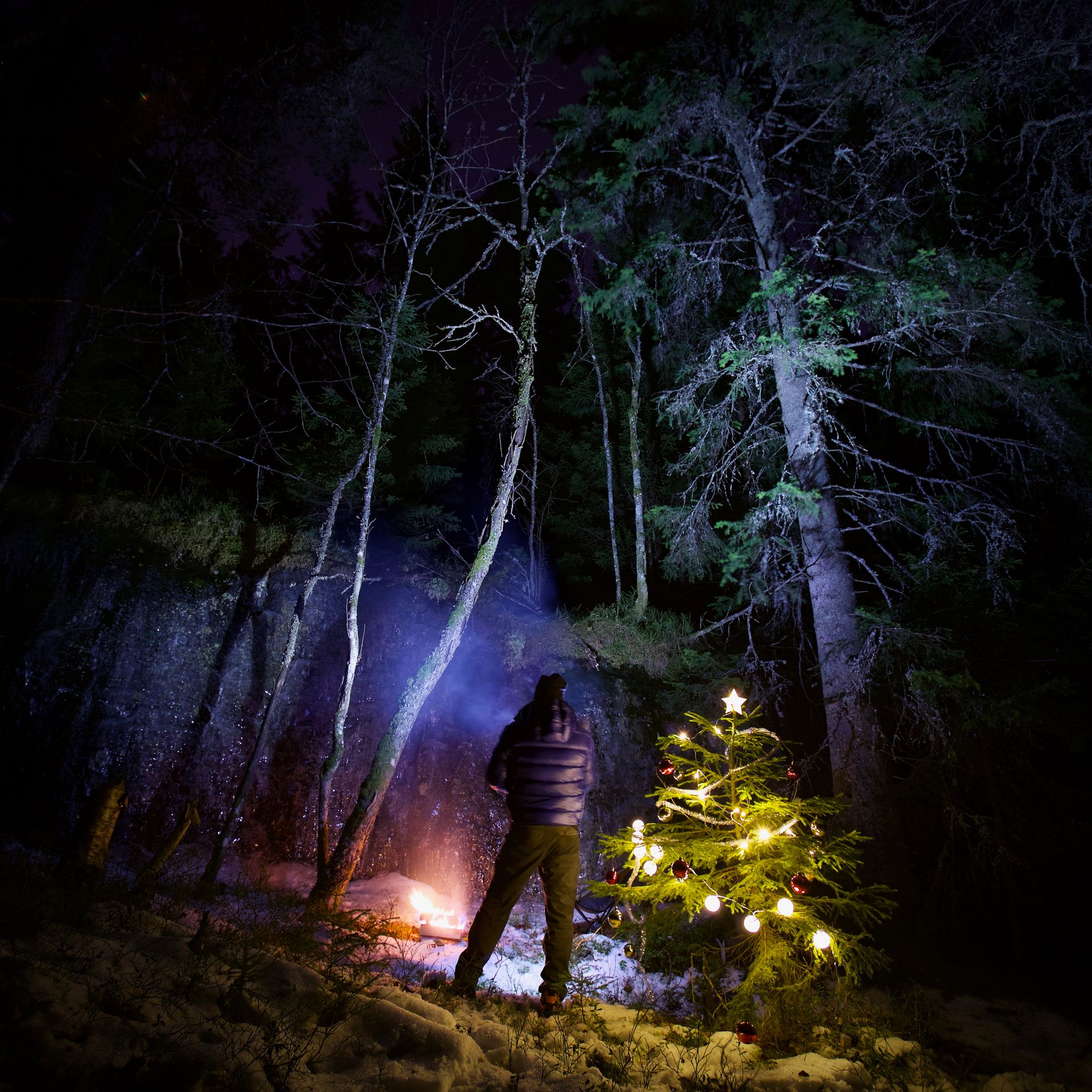 Advent i skogen